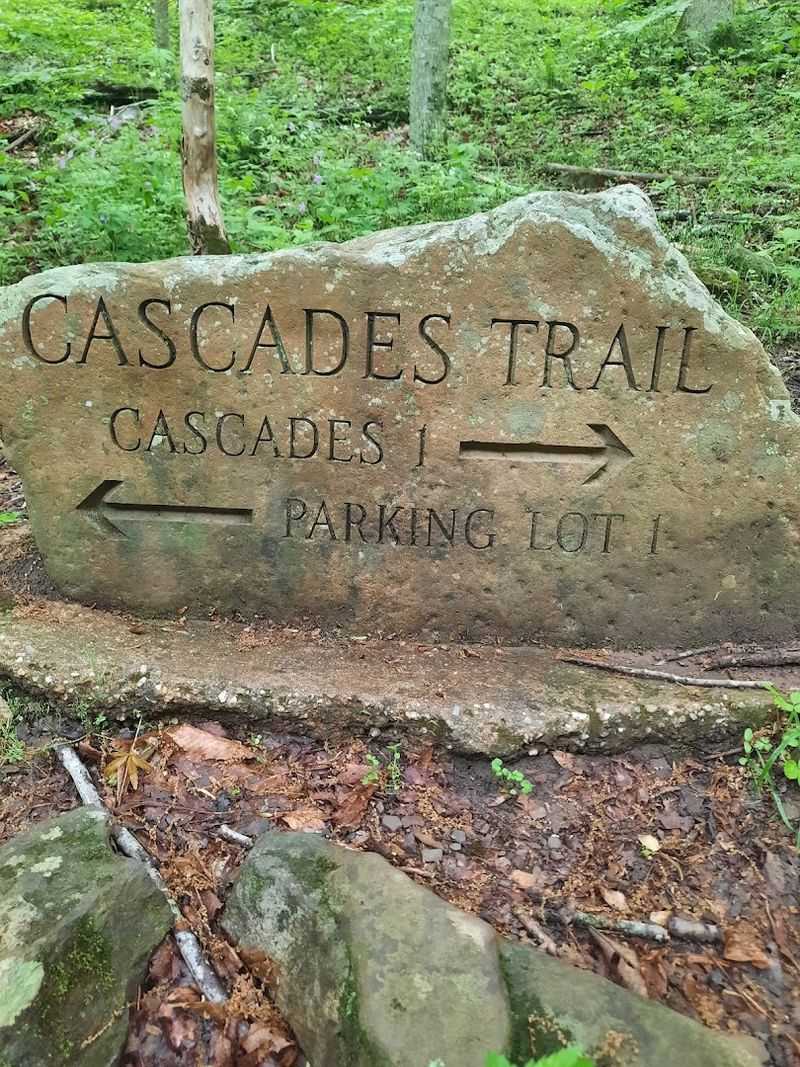Getting There And What To Expect At The Trailhead
