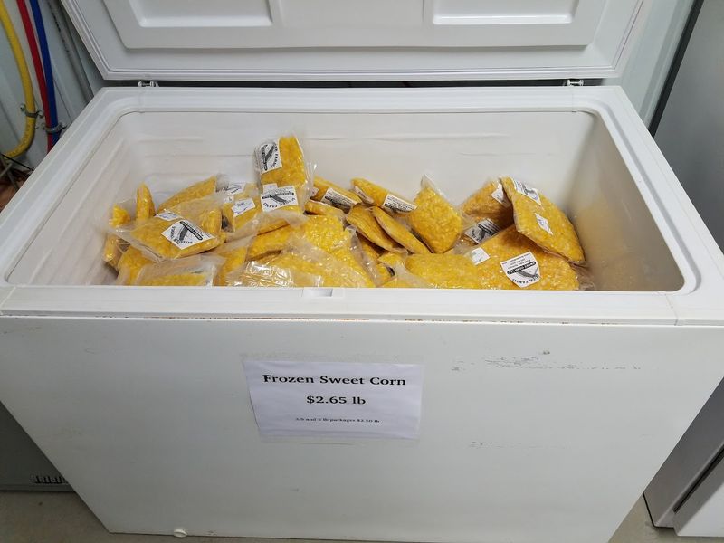 Frozen Corn That Carries The Season Into Winter