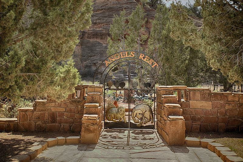 Angels Rest and the Gratitude Garden: The Quieter Side of the Sanctuary
