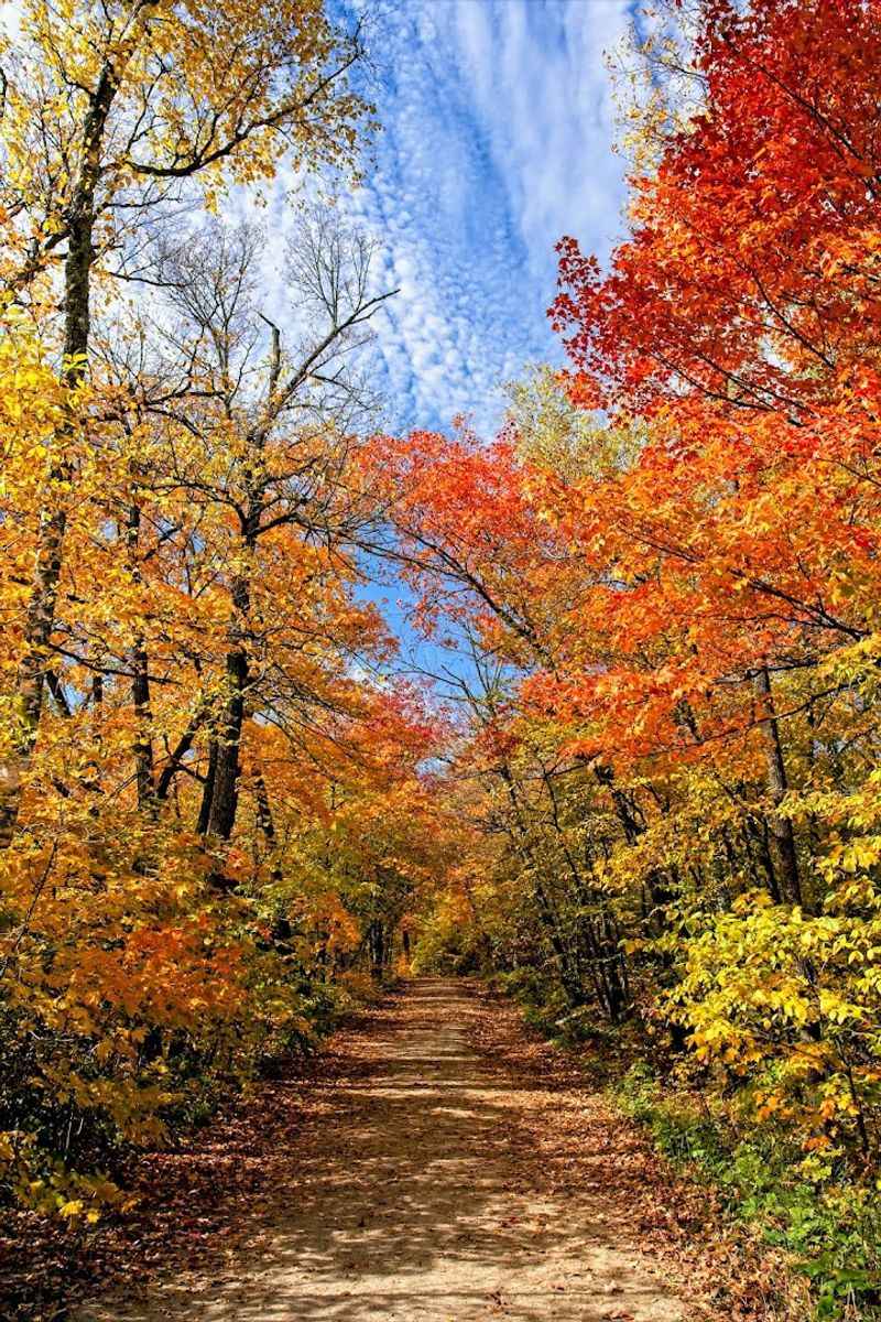 Fall Colors That Turn The Whole Park Into A Painting