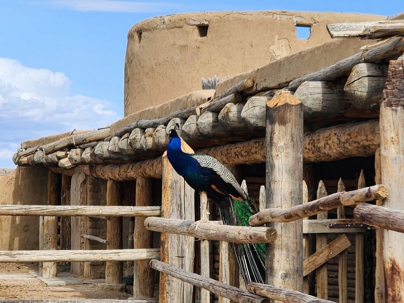 Animals Of The Fort