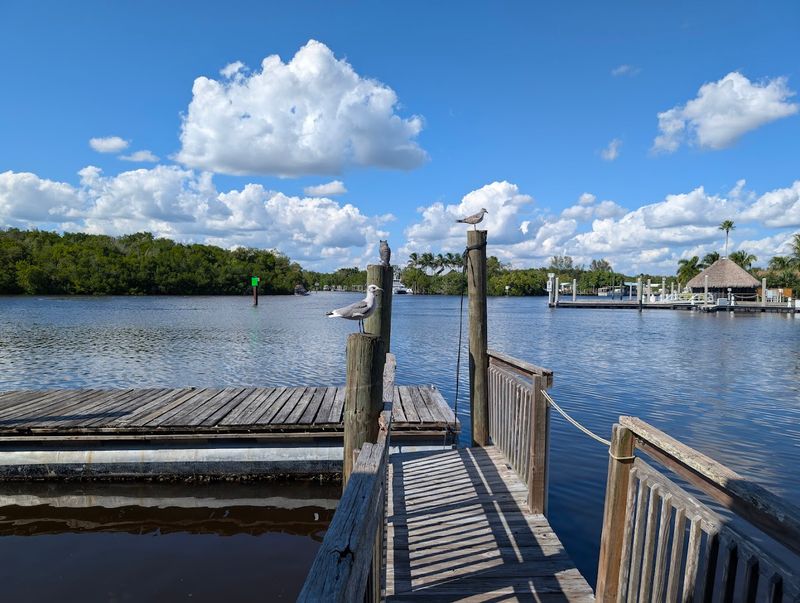 Begonia Street Feels Like The Right Turn For Seafood