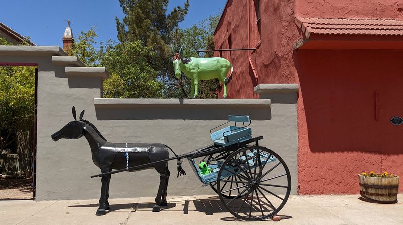 Painted Burros And Desert Streets
