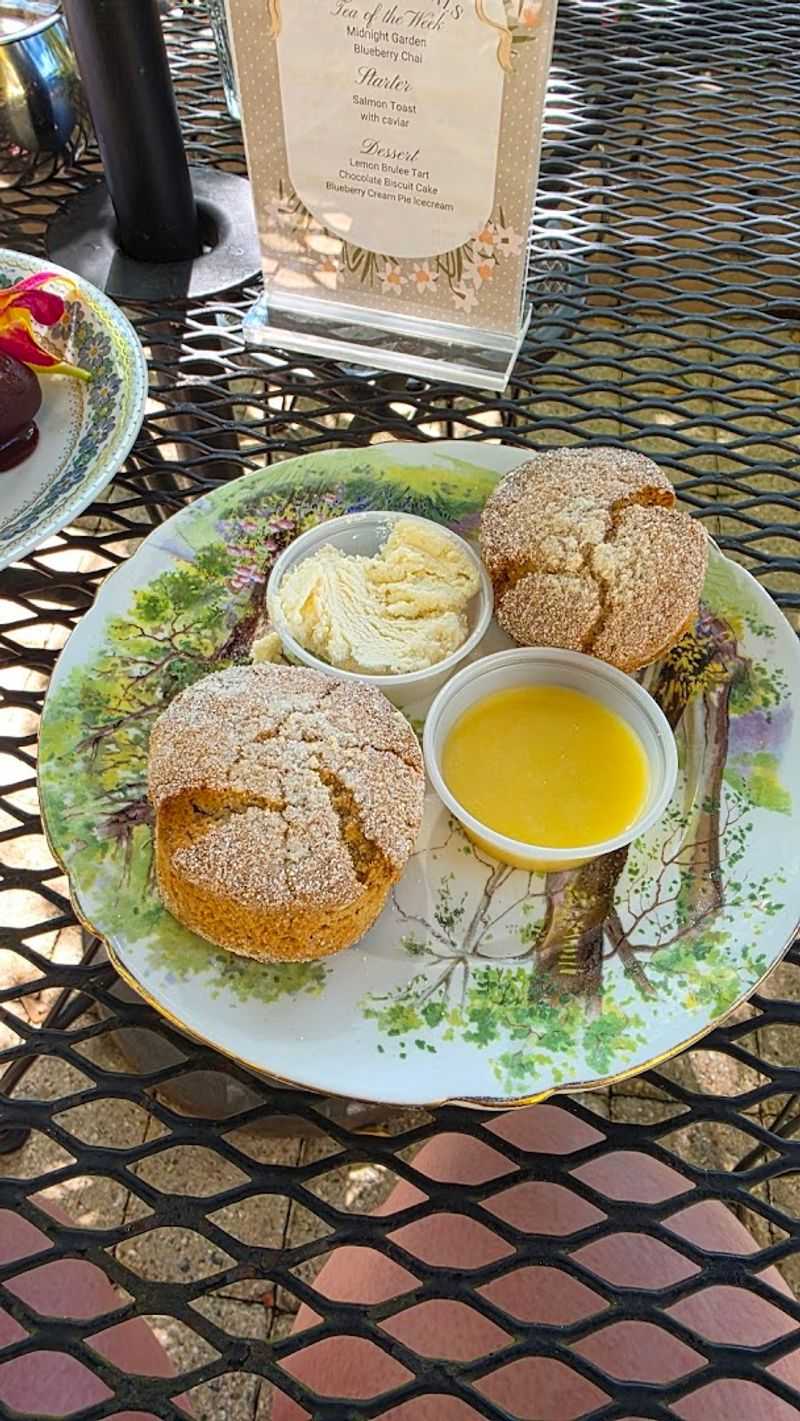 Classic Vanilla Scone