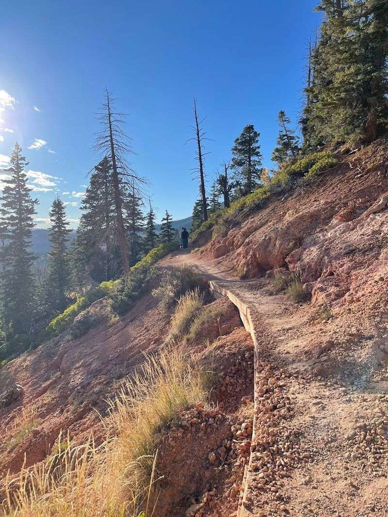 The Trail That Makes The Decision For You