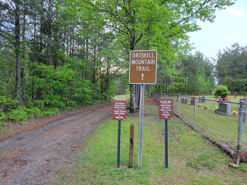 Vibe At The Trailhead