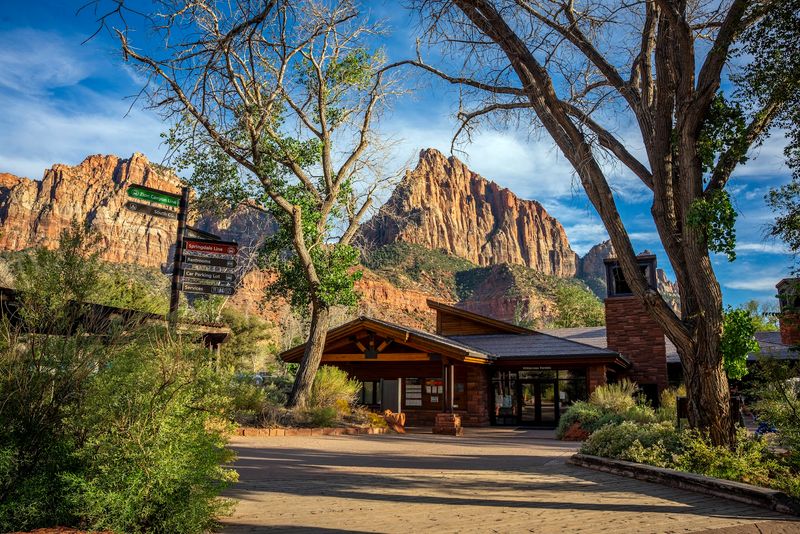 Zion National Park: Where The Road Trip Earns Its Reputation Immediately