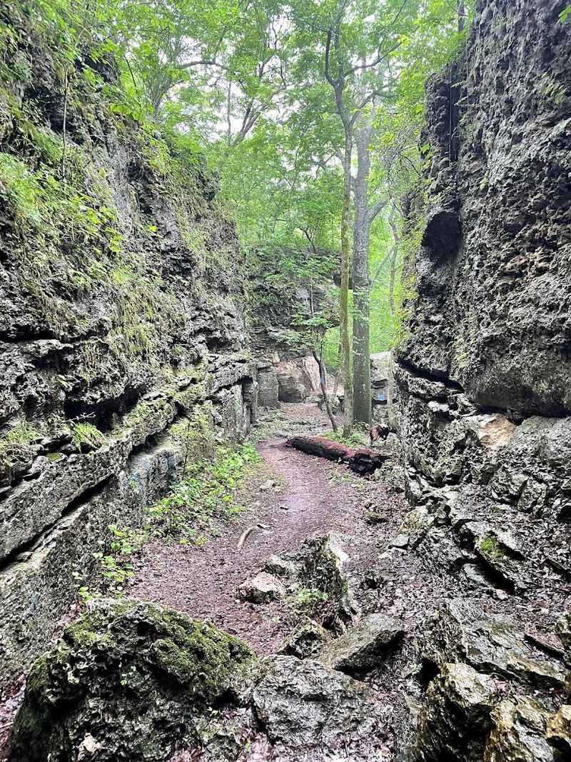 857 Acres Of Surprisingly Varied Terrain