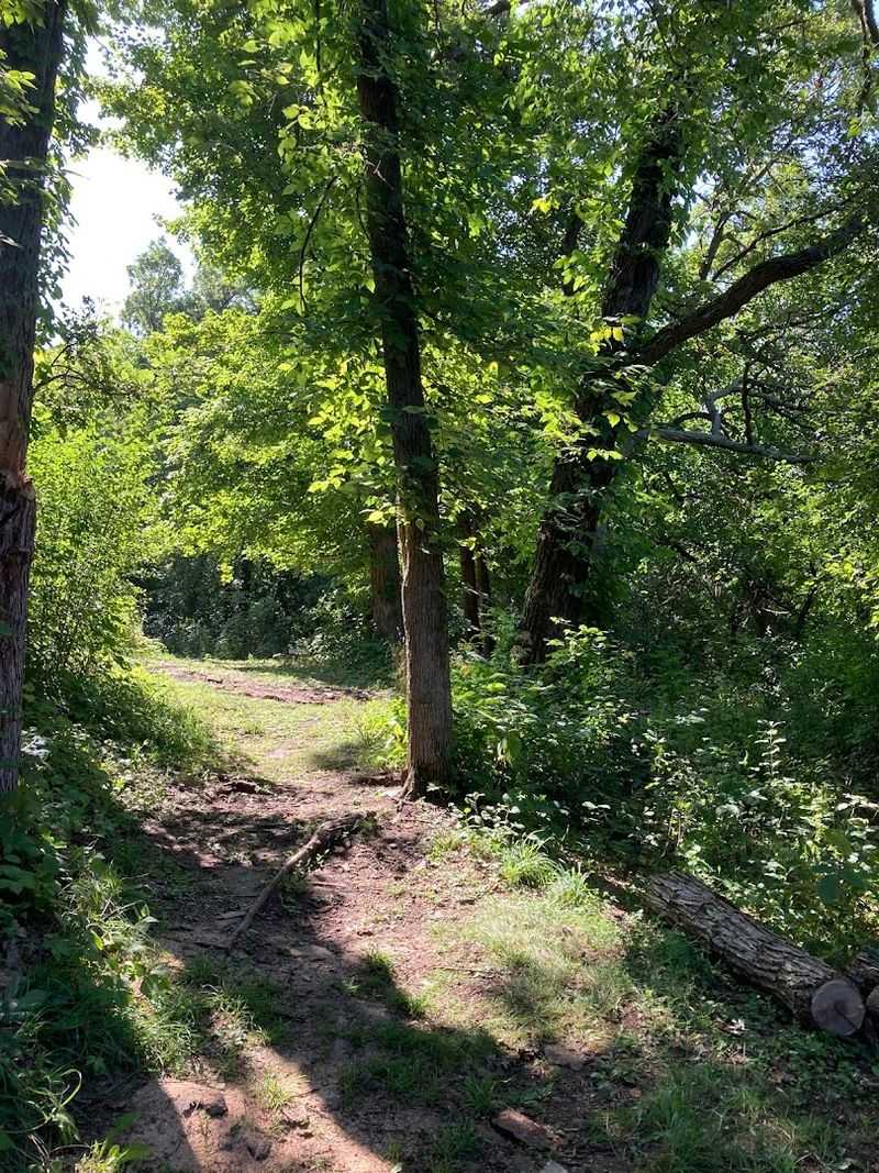 A Wooded Bluff Setting That Earns Every Step