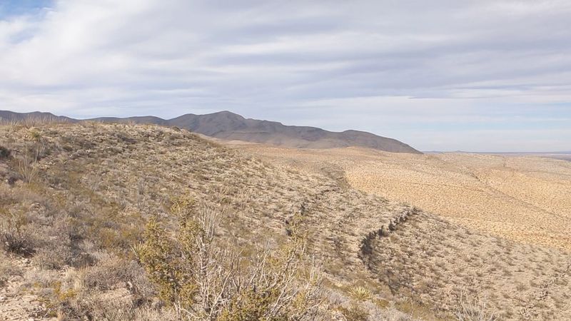 Rugged Trails Through Ancient Desert Canyons