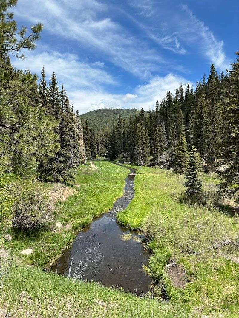 Creekside Paths Through Soft Green Meadows