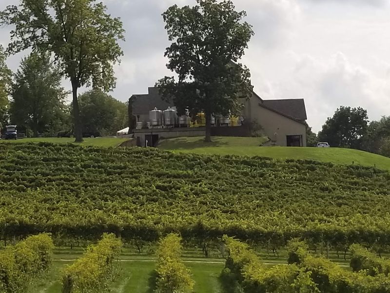 What Park Farm Winery Actually Is