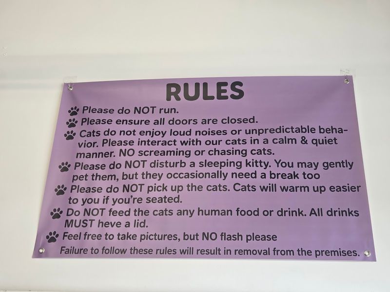 Follow The Lounge Rules