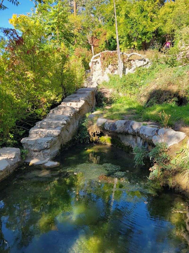 Stone Pools Beneath The Trees