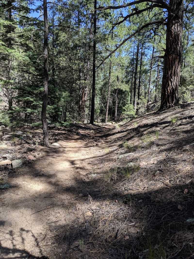 Shaded Trails And Canyon Views