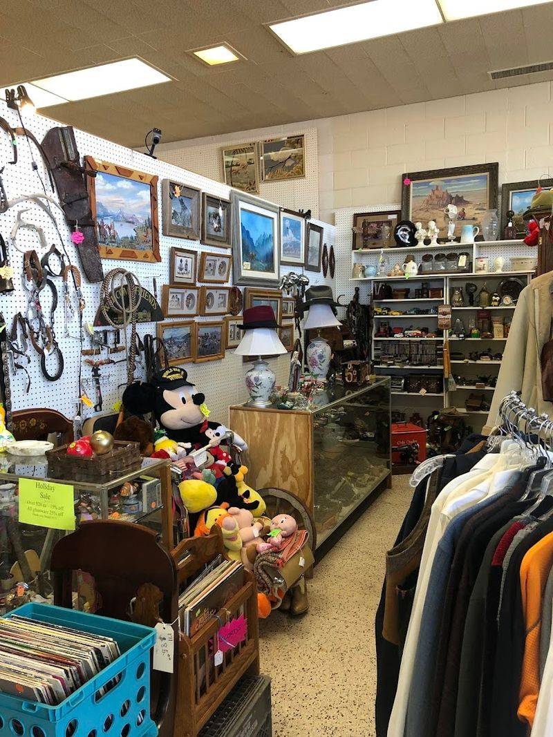 Rows Of Vintage Treasures