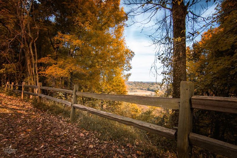 Fall Gives This Stretch Its Best Daylight Moment