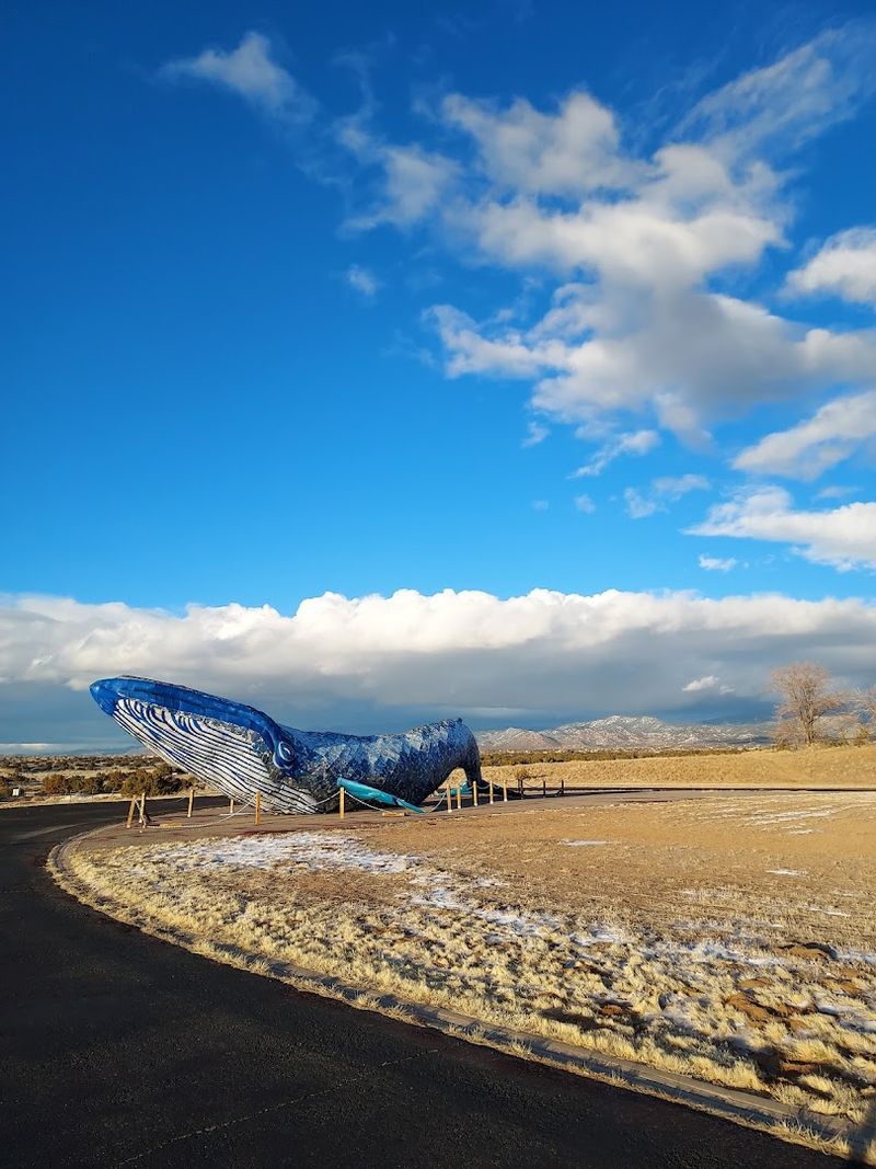 A Giant Whale Rising From The Desert Campus