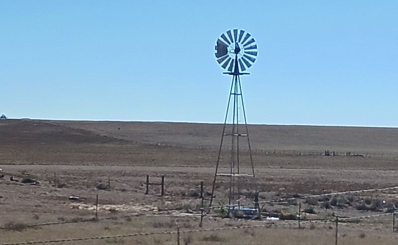 Wide Desert Skies