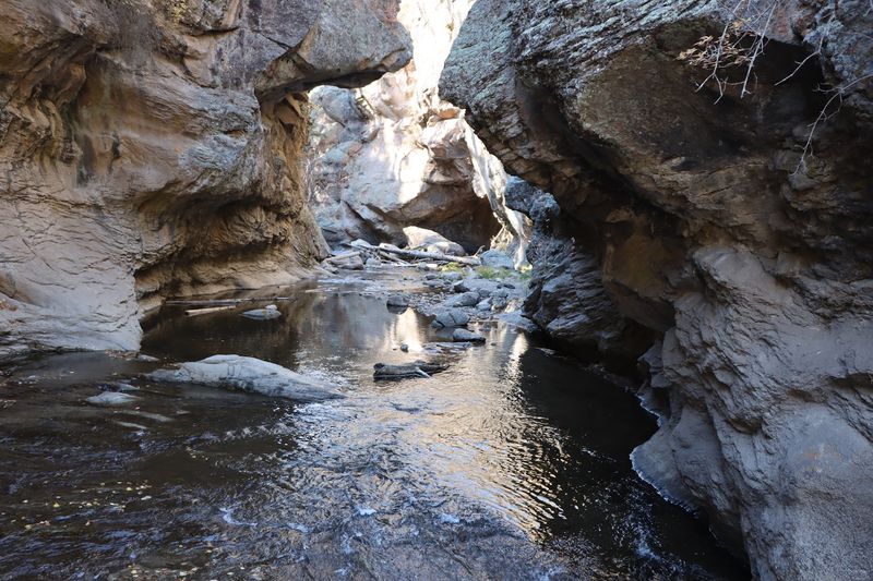 A Creekside Path Into Red Rock