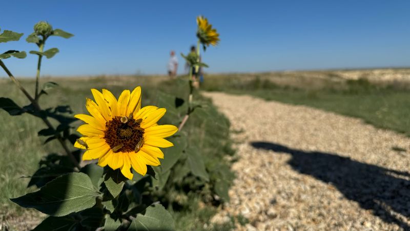 The Overlook Trail Is Genuinely Short And Easy