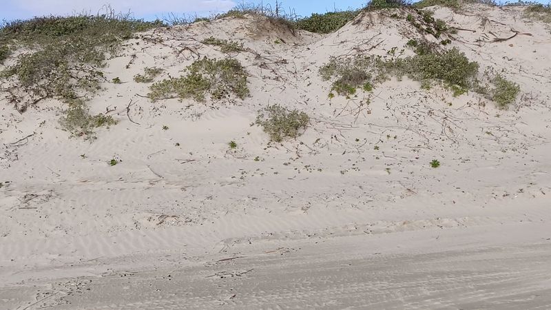 The Sand That Draws People In 