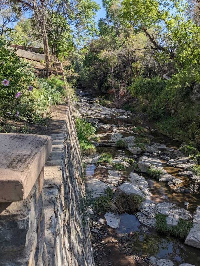 A Shaded Walk Below Town