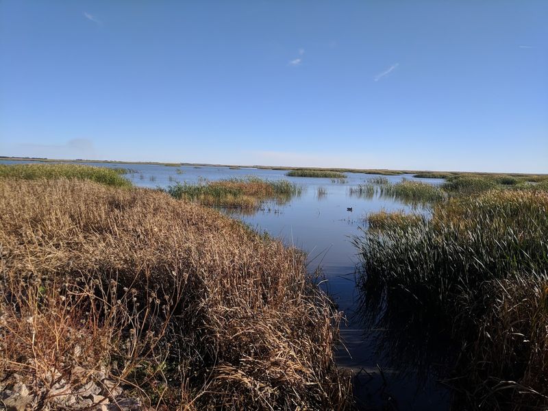 The Largest Interior Marsh In The United States