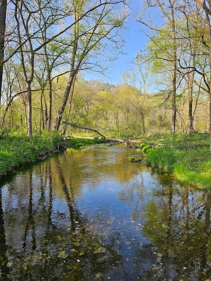Where Paint Creek Turns Iowa Into Bluff Country