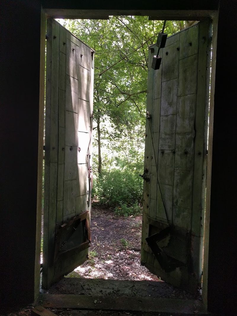 Where Nature Reclaims History