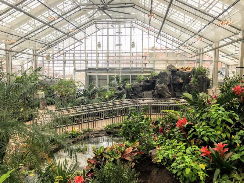 A Living Greenhouse You Actually Get to Walk Through