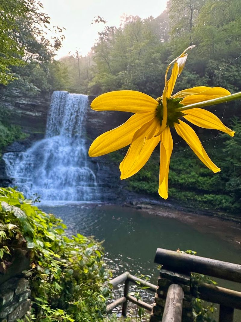 The Waterfall That Stops Hikers In Their Tracks