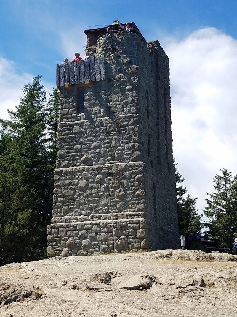 The Tower's Wild Origin Story