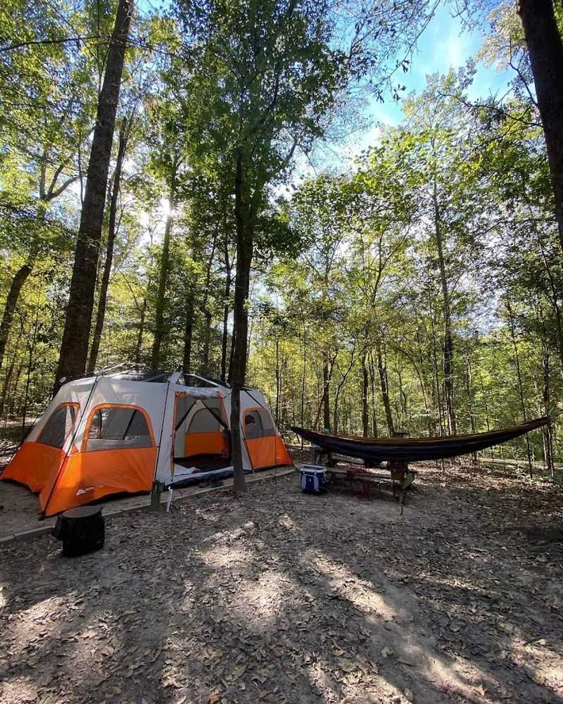 Choose The Right Campsite
