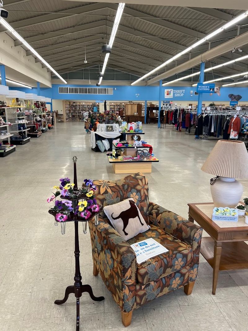 Animal Humane Thrift Shop, Albuquerque