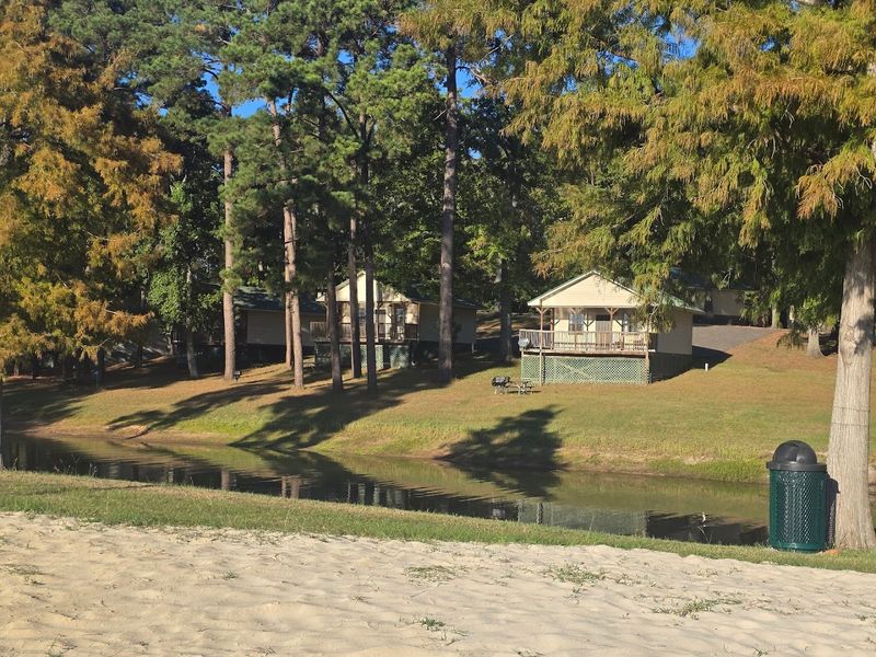 Respectful Park Etiquette