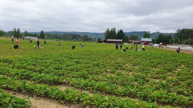 Finding The Farm Without Losing Your Mind First