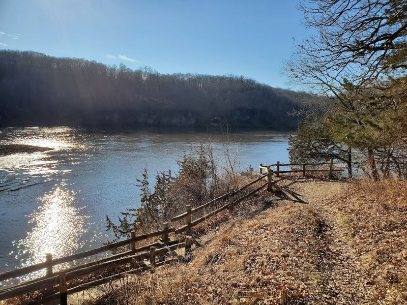 Walking the River Path Along the Cedar