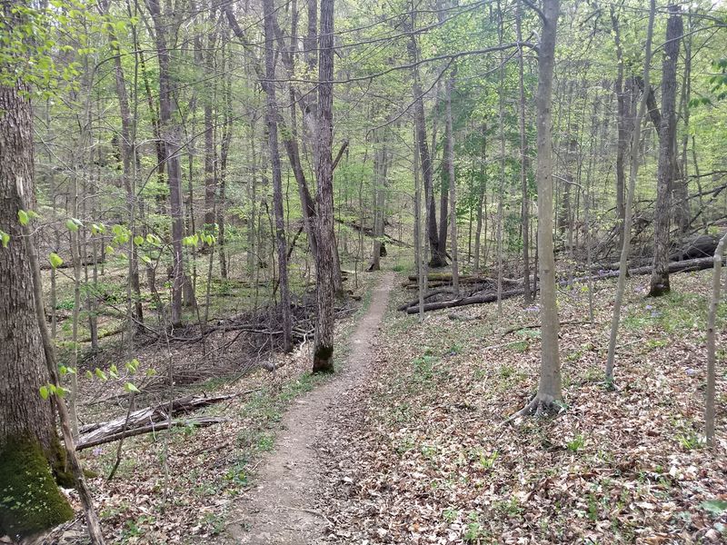 One Of Ohio's Best-Kept Mountain Biking Secrets