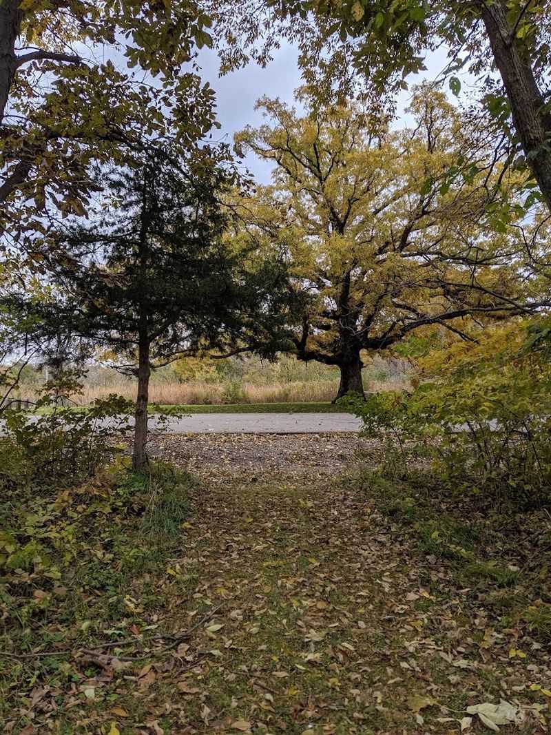 Biking to the Tower From Nearby Campgrounds