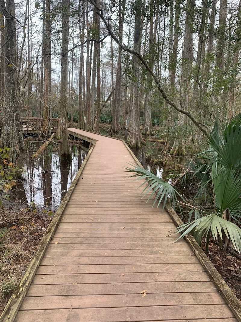 Palmetto Island State Park
