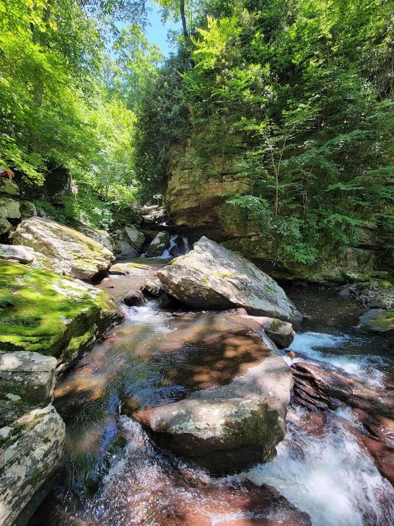What The Lower Trail Feels Like Up Close