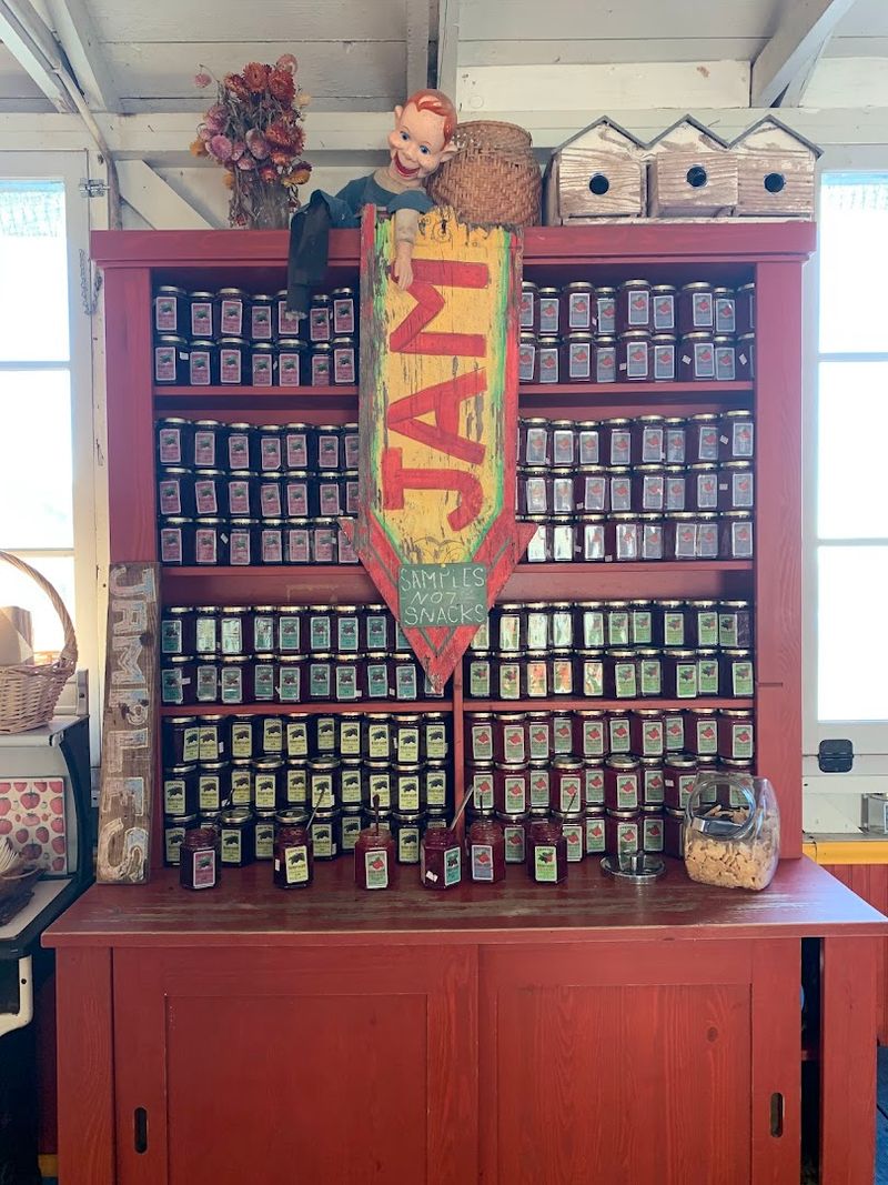 The Farm Stand Experience
