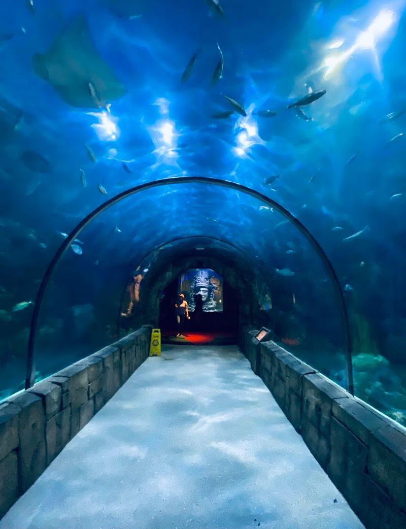 Audubon Aquarium