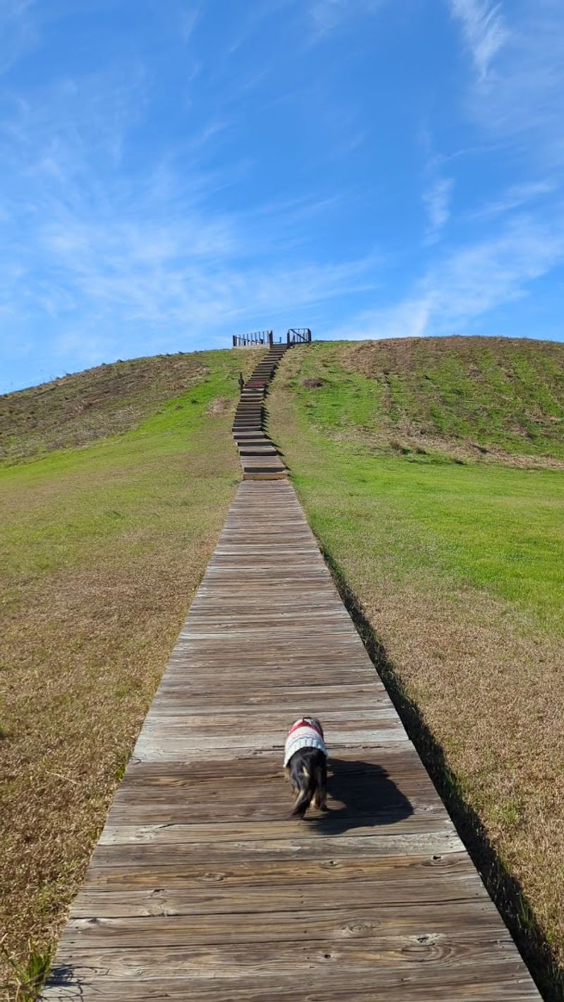 Climbing Mound A