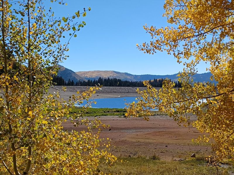 Fall Foliage And Seasonal Timing At The Reservoir