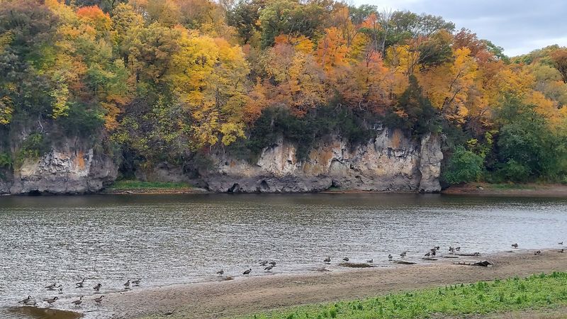 Wildlife Watching Opportunities Throughout the Park