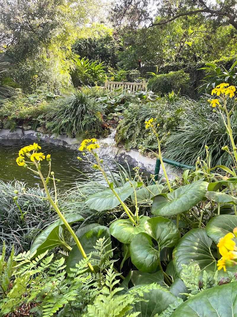 Wild Garden Details