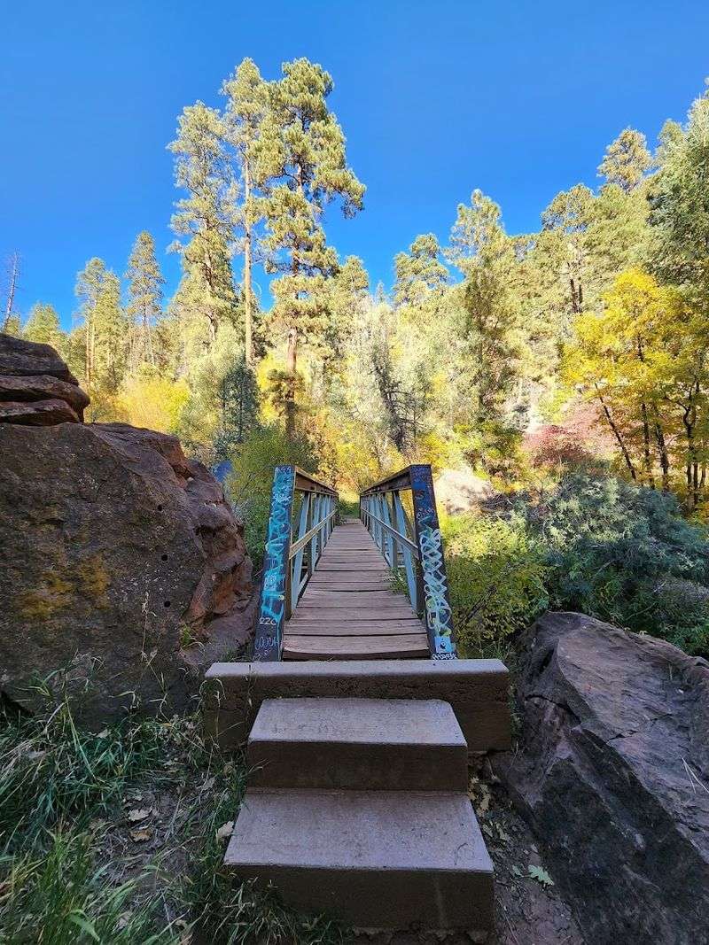 A Short Trail Into Mountain Quiet