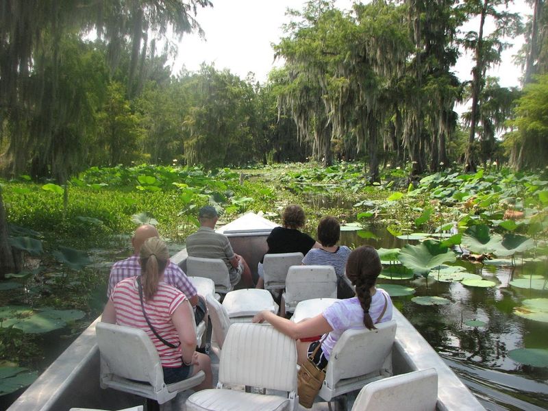 Expect Small, Eco-Friendly Boats